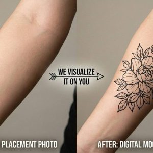 Option 2: The "Visualizer" Pack